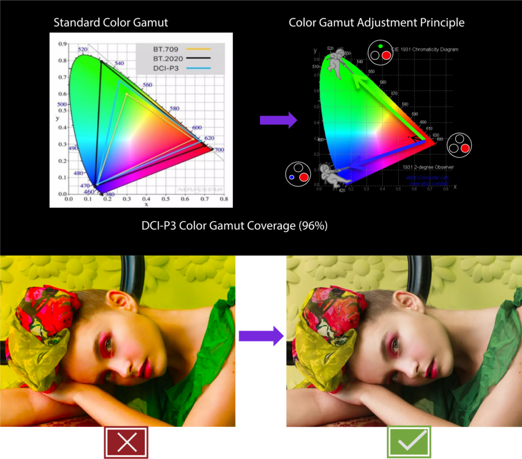 Wide Color Gamut, Precise Color Management